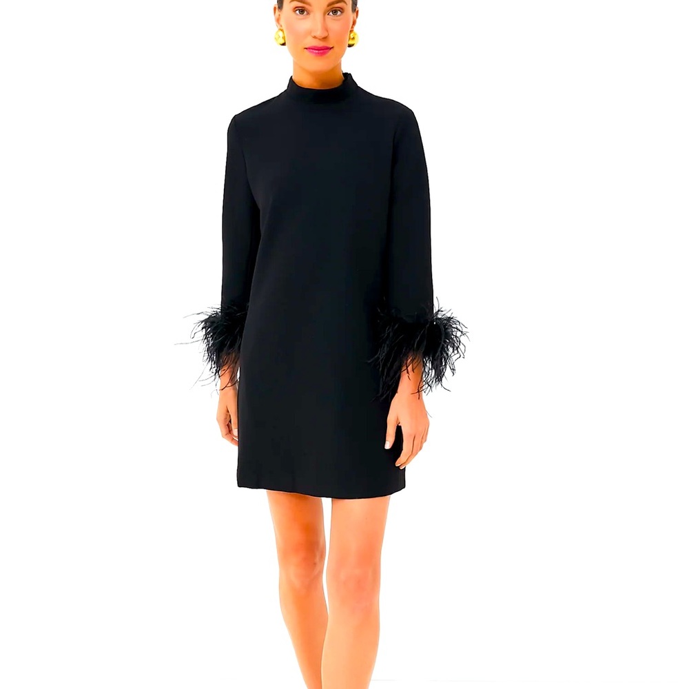 Tuckernuck black feather mod dress